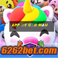 app đặt cược màu