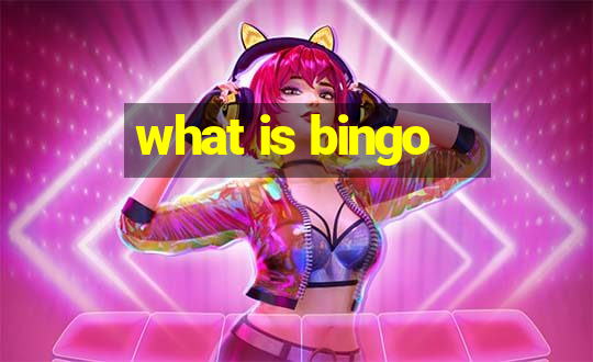 what is bingo