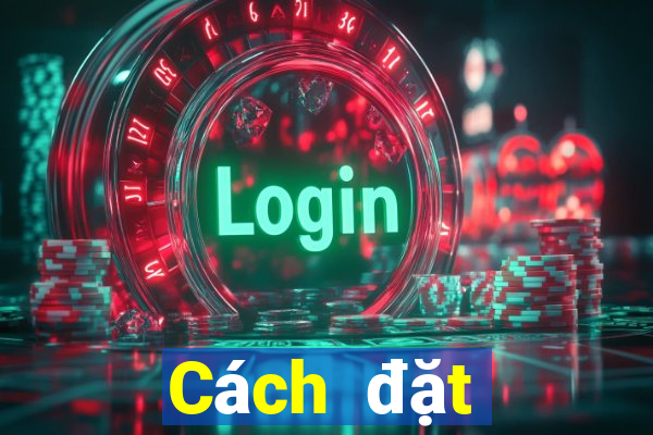 Cách đặt cược XSNT ngày 23