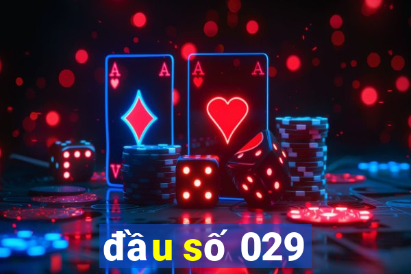 đầu số 029