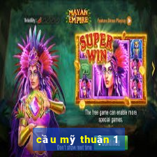 cầu mỹ thuận 1