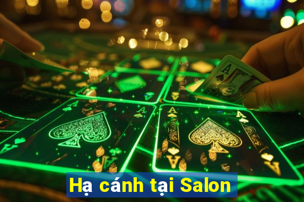 Hạ cánh tại Salon