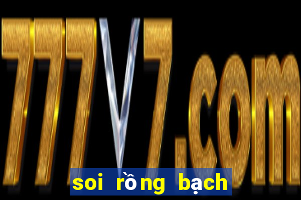 soi rồng bạch kim miền bắc hôm nay