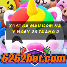 xổ số cà mau hôm nay ngày 26 tháng 2