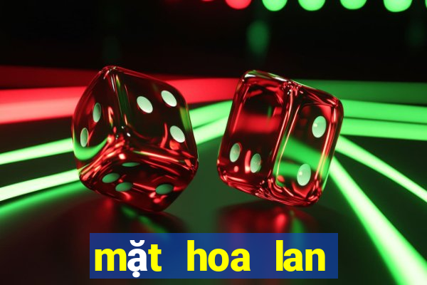 mặt hoa lan bệt ma bó