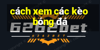 cách xem các kèo bóng đá