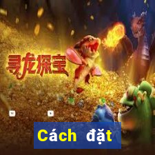 Cách đặt cược XS Keno Vietlott ngày 12