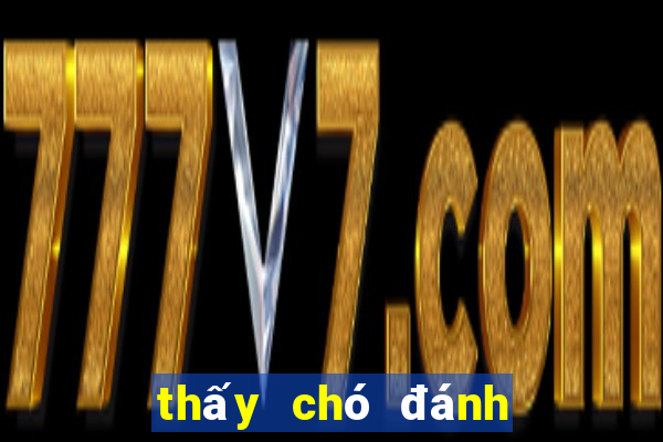 thấy chó đánh con gì