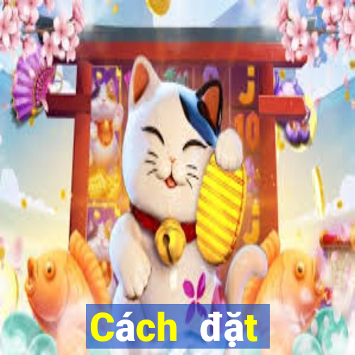 Cách đặt cược XSDNO ngày 25