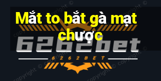 Mắt to bắt gà mạt chược