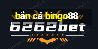 bắn cá bingo88