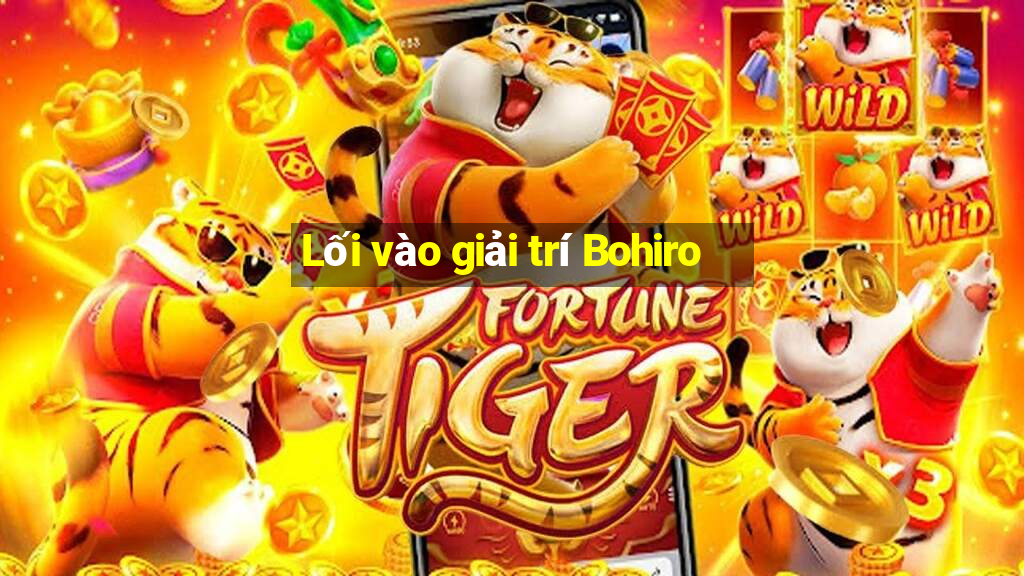 Lối vào giải trí Bohiro