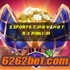 Esports tặng vàng trải nghiệm