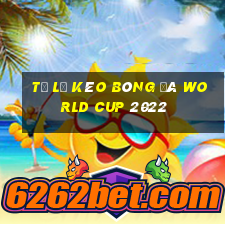 tỷ lệ kèo bóng đá world cup 2022