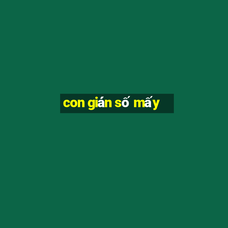 con gián số mấy