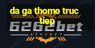 da ga thomo truc tiep