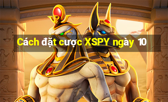 Cách đặt cược XSPY ngày 10