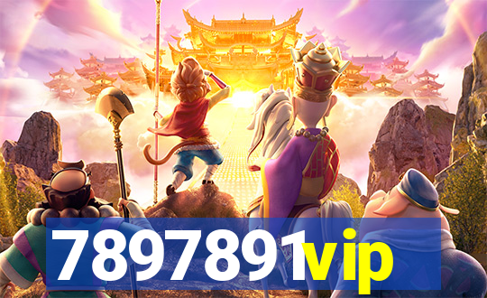 7897891vip