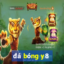 đá bóng y8