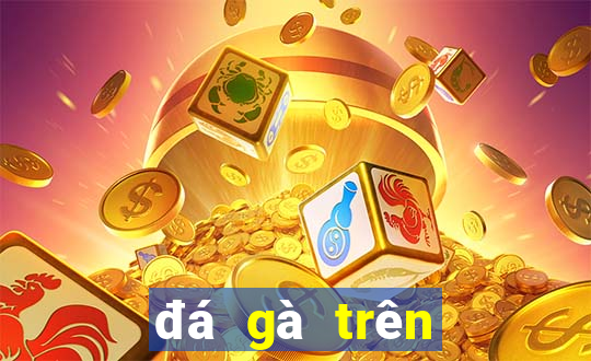 đá gà trên casino trực tiếp