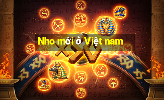 Nho mới ở Việt nam