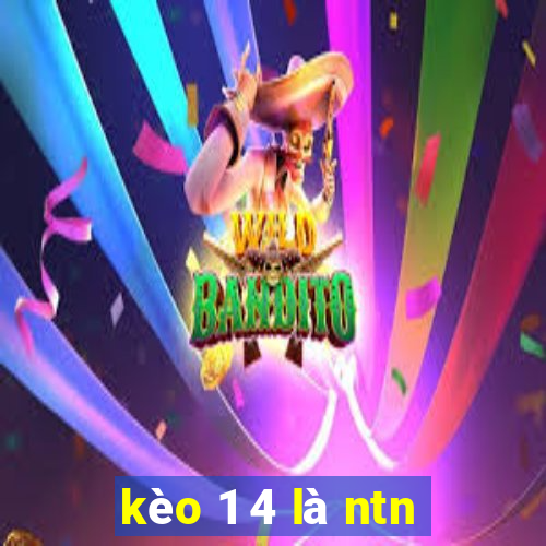 kèo 1 4 là ntn