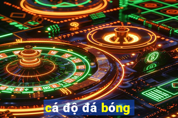 cá độ đá bóng