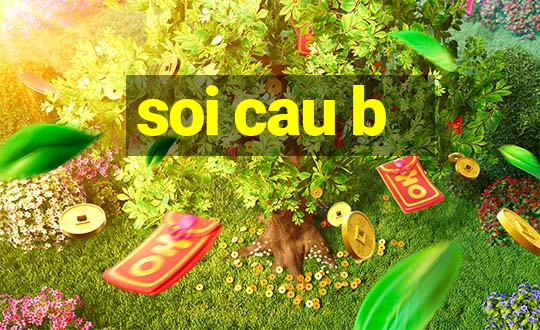 soi cau b