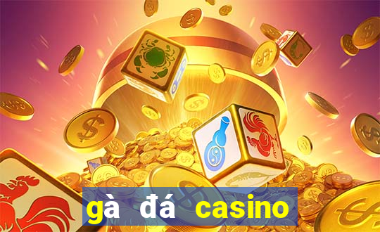 gà đá casino trực tiếp