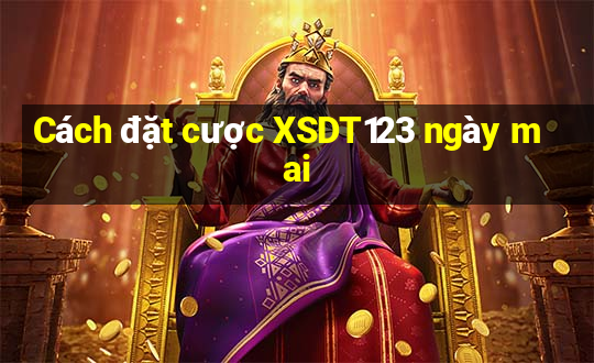 Cách đặt cược XSDT123 ngày mai