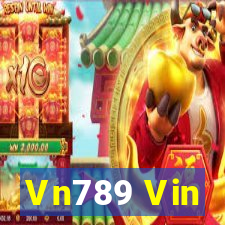 Vn789 Vin