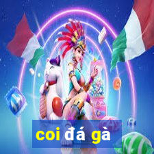 coi đá gà