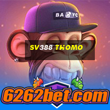 sv388 thomo