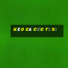 kèo cá cược tỷ số