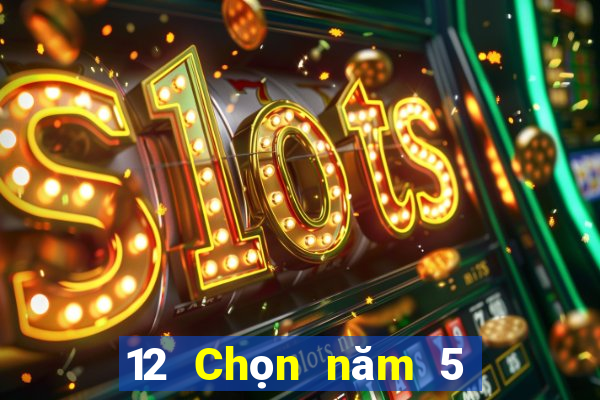 12 Chọn năm 5 Chiết Giang