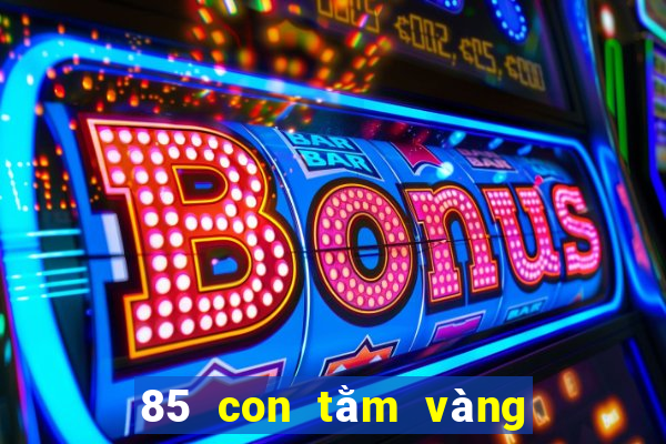 85 con tằm vàng để bắt cá