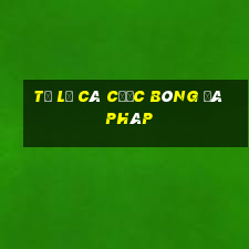 tỷ lệ cá cược bóng đá pháp