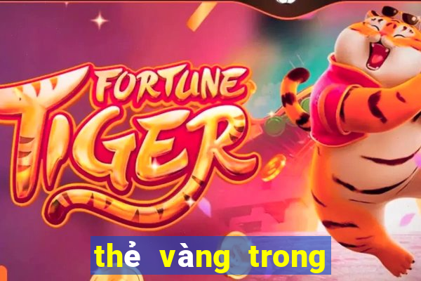 thẻ vàng trong bóng đá là gì