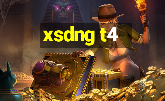 xsdng t4