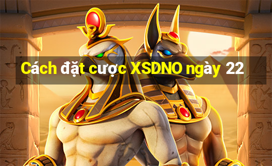 Cách đặt cược XSDNO ngày 22