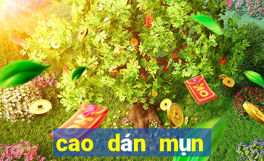 cao dán mụn nhọt ở mông