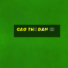 cao thủ dàn đề