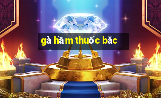 gà hầm thuốc bắc