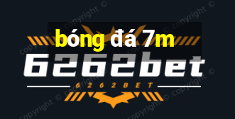 bong da 7m