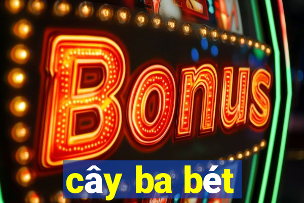 cây ba bét