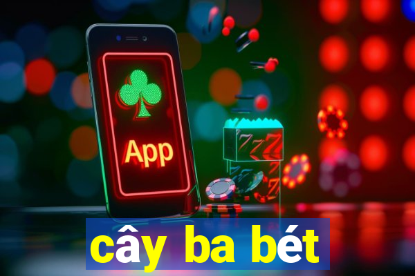 cây ba bét