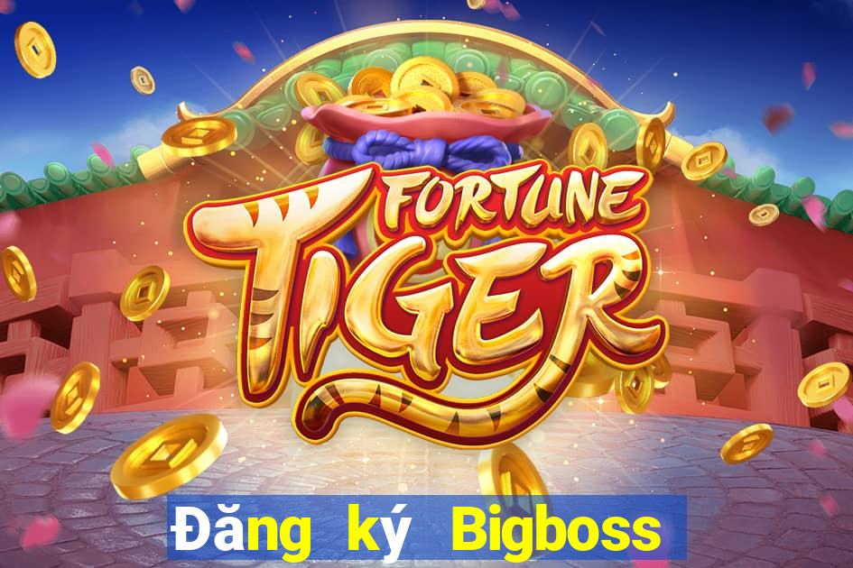 Đăng ký Bigboss Thưởng 79k