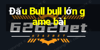 Đấu Bull bull lớn game bài