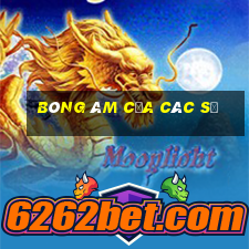 bóng âm của các số