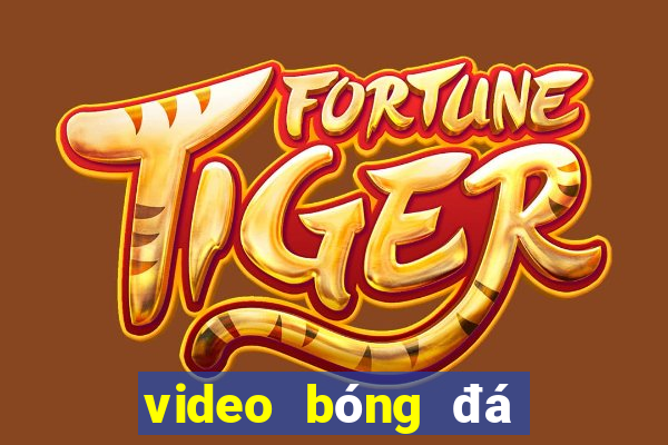 video bóng đá đêm qua